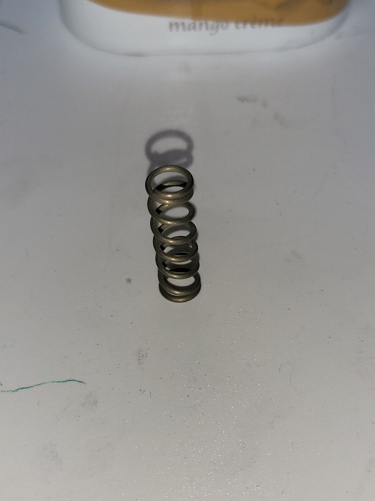 141837 Jet Breaker spring